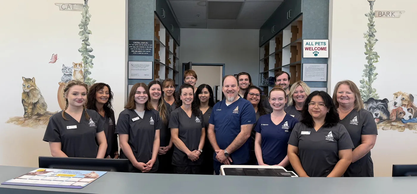 The Foothill Animal Hospital team: doctors, team members and front desk